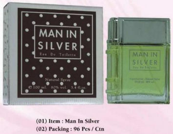 Man in Silver